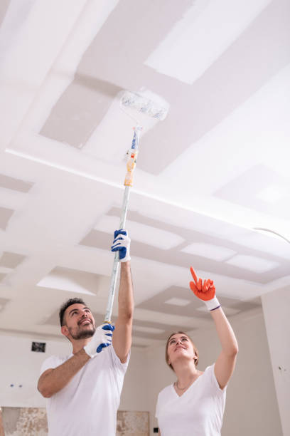 Best Ceiling Drywall Installation  in Gardnertown, NY